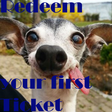 100Tickets